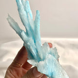 Front view of a raw Blue Aragonite cluster showing vertical coral-like branches.