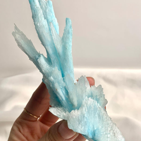 Front view of a raw Blue Aragonite cluster showing vertical coral-like branches.