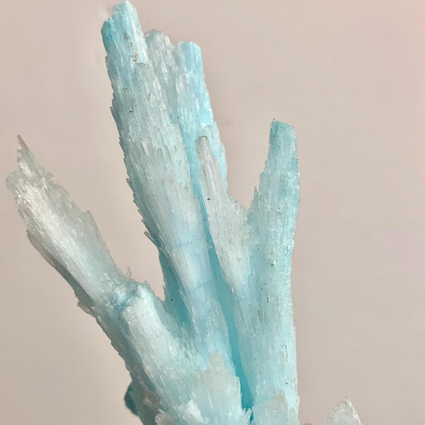 Close-up detail of natural blue aragonite branch tips and raw texture.