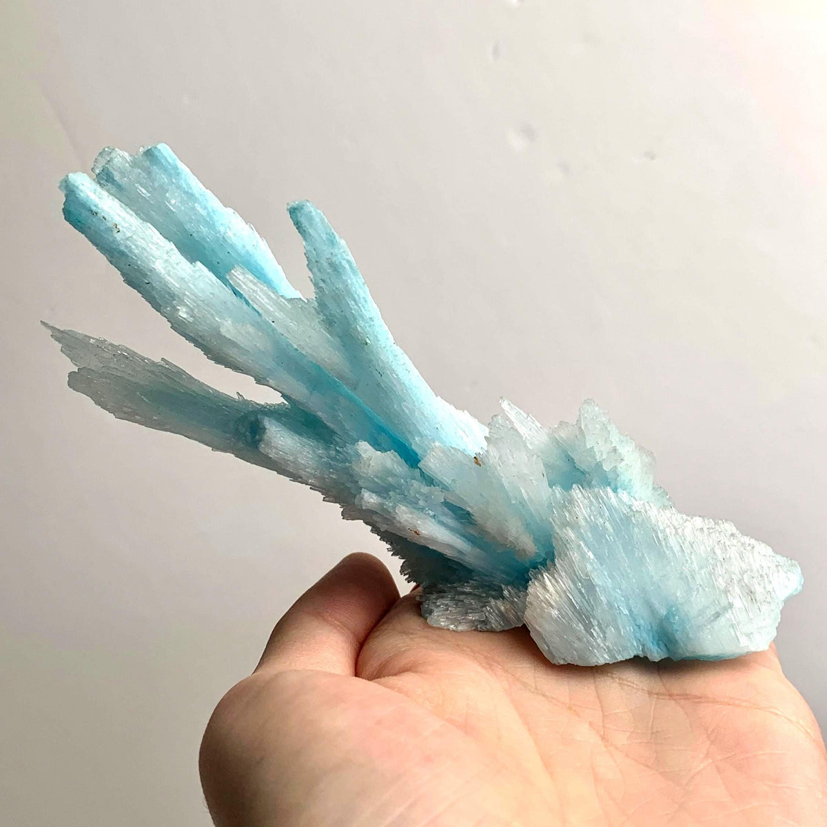 Side angle of a light blue aragonite specimen featuring long straight branching structures.