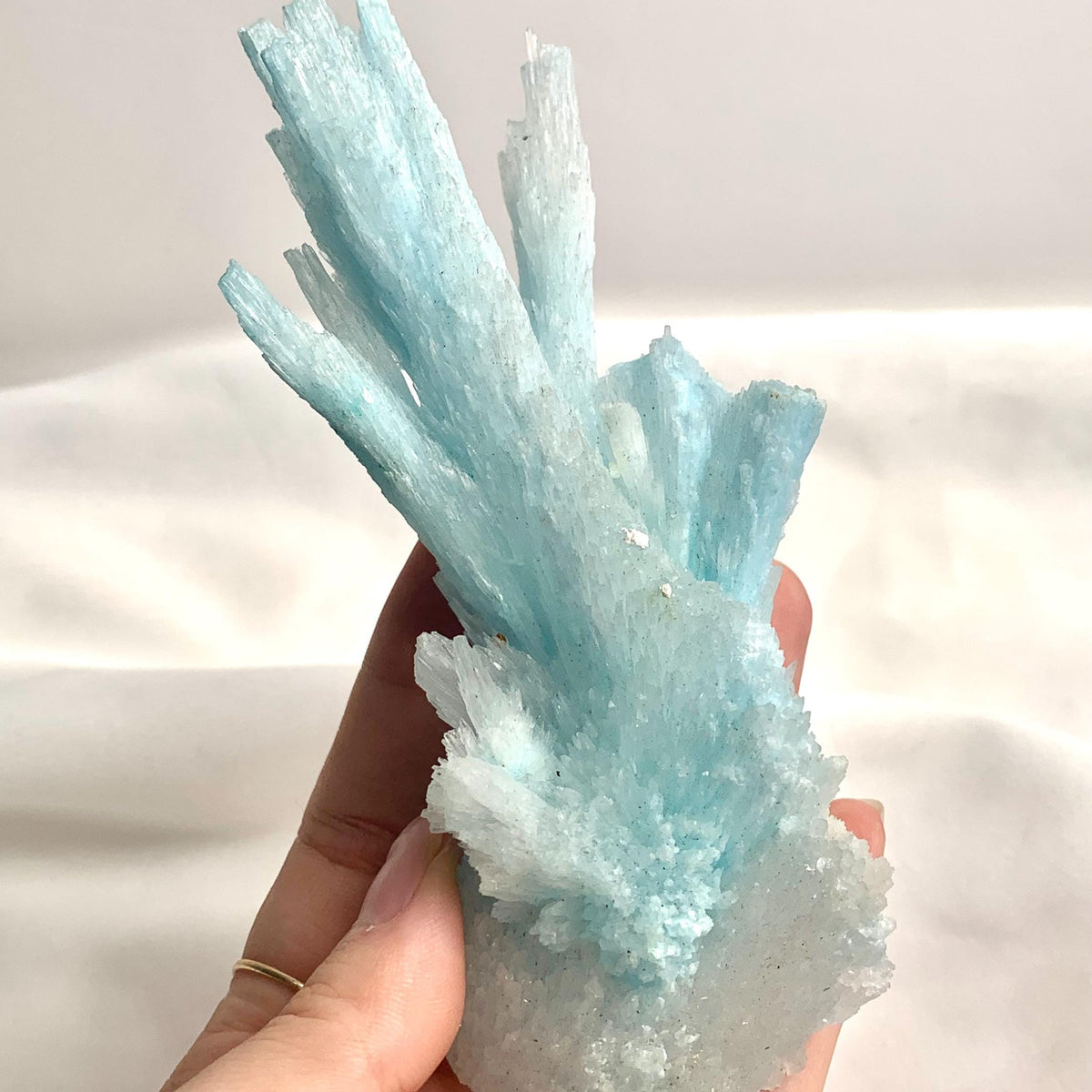 Front view of a raw Blue Aragonite cluster showing vertical coral-like branches.