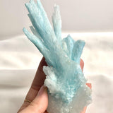 Front view of a raw Blue Aragonite cluster showing vertical coral-like branches.