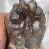 Angled top of smoky quartz gwindel cluster, layered elestial growth and crisp double terminated points visible