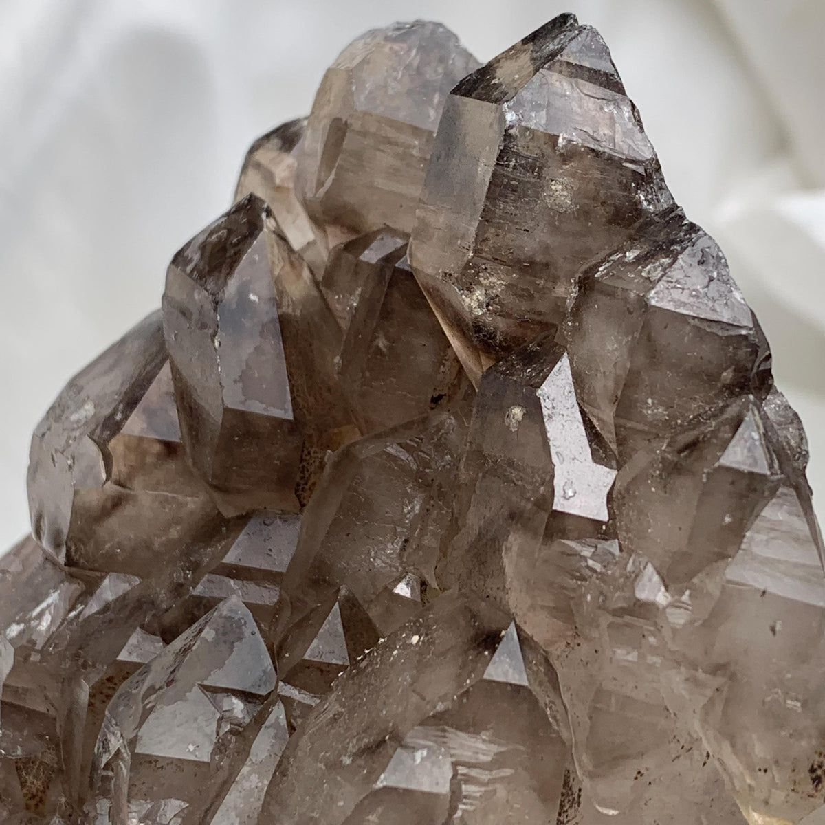 Front-facing smoky quartz gwindel cluster, clustered terminations and internal zoning, rare mineral specimen appeal