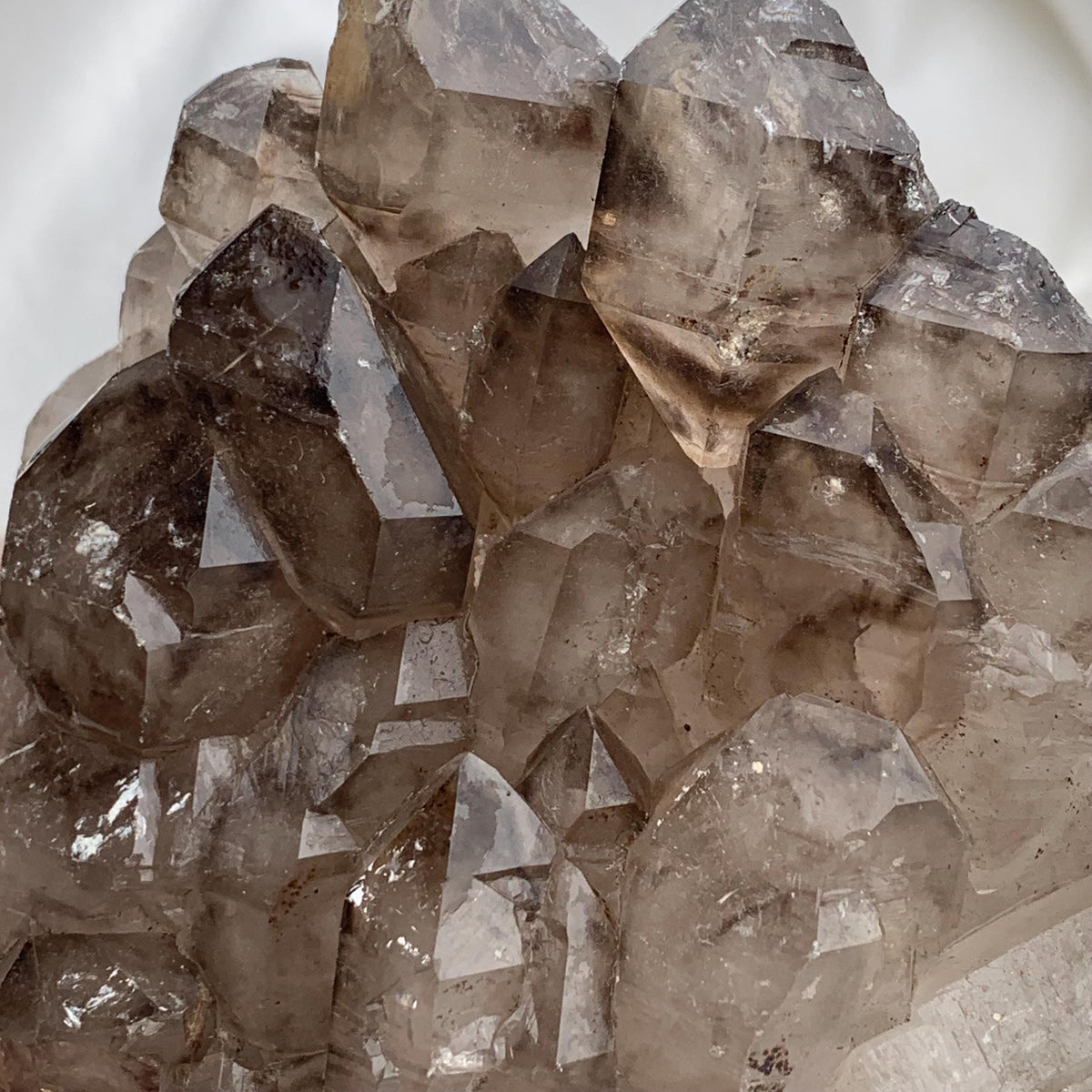 Side angle of smoky quartz gwindel cluster, deep smoky brown crystal faces and rugged raw smoky quartz base