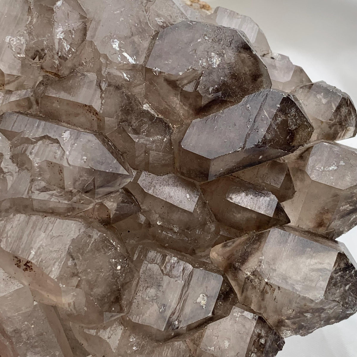 Off-center smoky quartz gwindel cluster, complex network of double terminated smoky quartz crystals and facets