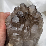 Compact tip view of smoky quartz gwindel cluster, tight crown of double terminated points, raw smoky quartz charm