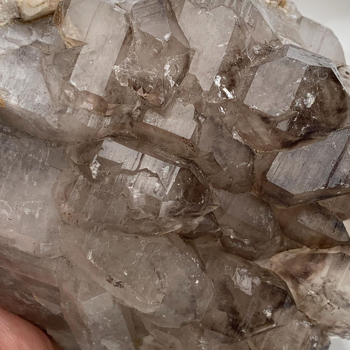 Macro detail of smoky quartz gwindel cluster, translucent to deep brown crystals with closely rotated points