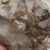 Macro detail of smoky quartz gwindel cluster, translucent to deep brown crystals with closely rotated points