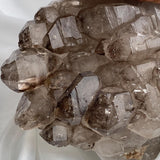 Flat-top perspective of smoky quartz gwindel cluster, many small terminations creating a textured, sculptural surface