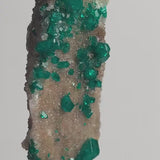 Dioptase Crystal Specimen: Emerald Green Tsumeb Matrix Mineral Collector Piece, D6