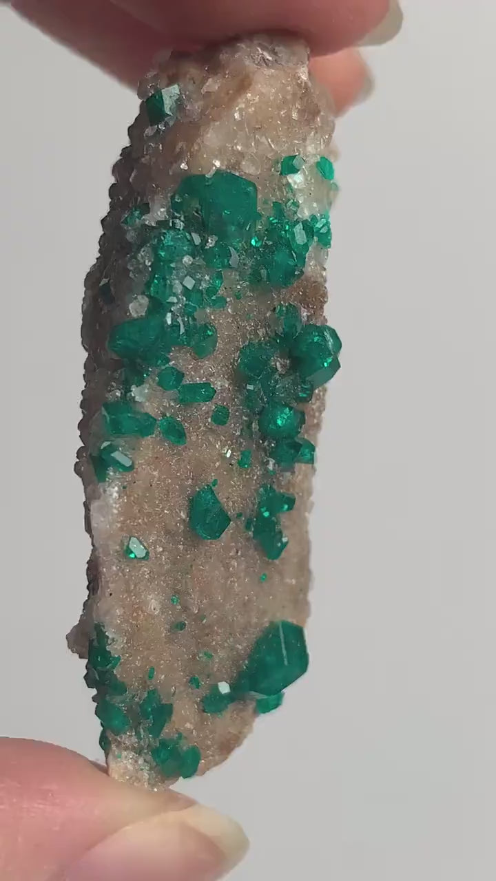 Dioptase Crystal Specimen: Emerald Green Tsumeb Matrix Mineral Collector Piece, D6