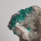 Dioptase Crystal Cluster: Emerald Green Tsumeb Mine Specimen, Collector Mineral Display, D15
