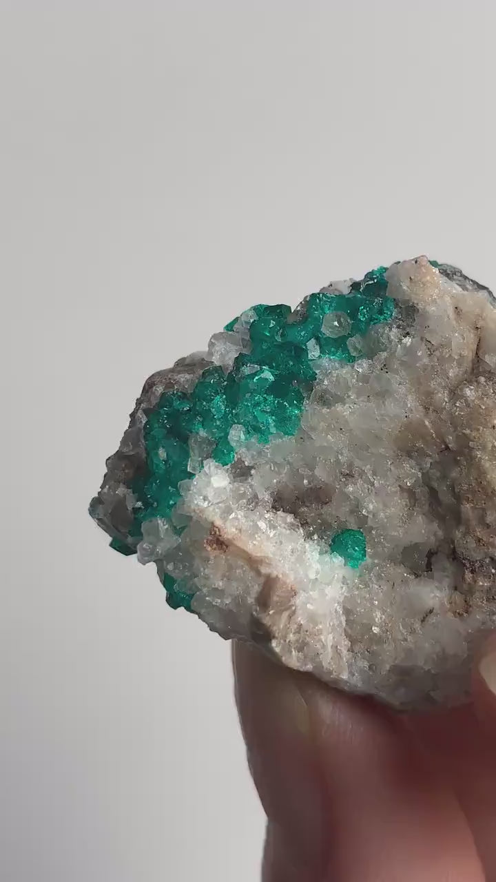 Dioptase Crystal Cluster: Emerald Green Tsumeb Mine Specimen, Collector Mineral Display, D15
