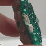 Tsumeb Dioptase Specimen – Emerald Green Crystallized Matrix, Namibia Collector Mineral Cabinet Display Piece, D13