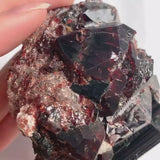 Garnet Black Tourmaline Specimen – Pakistan Crystals on Matrix, Collector Mineral Display, GC5