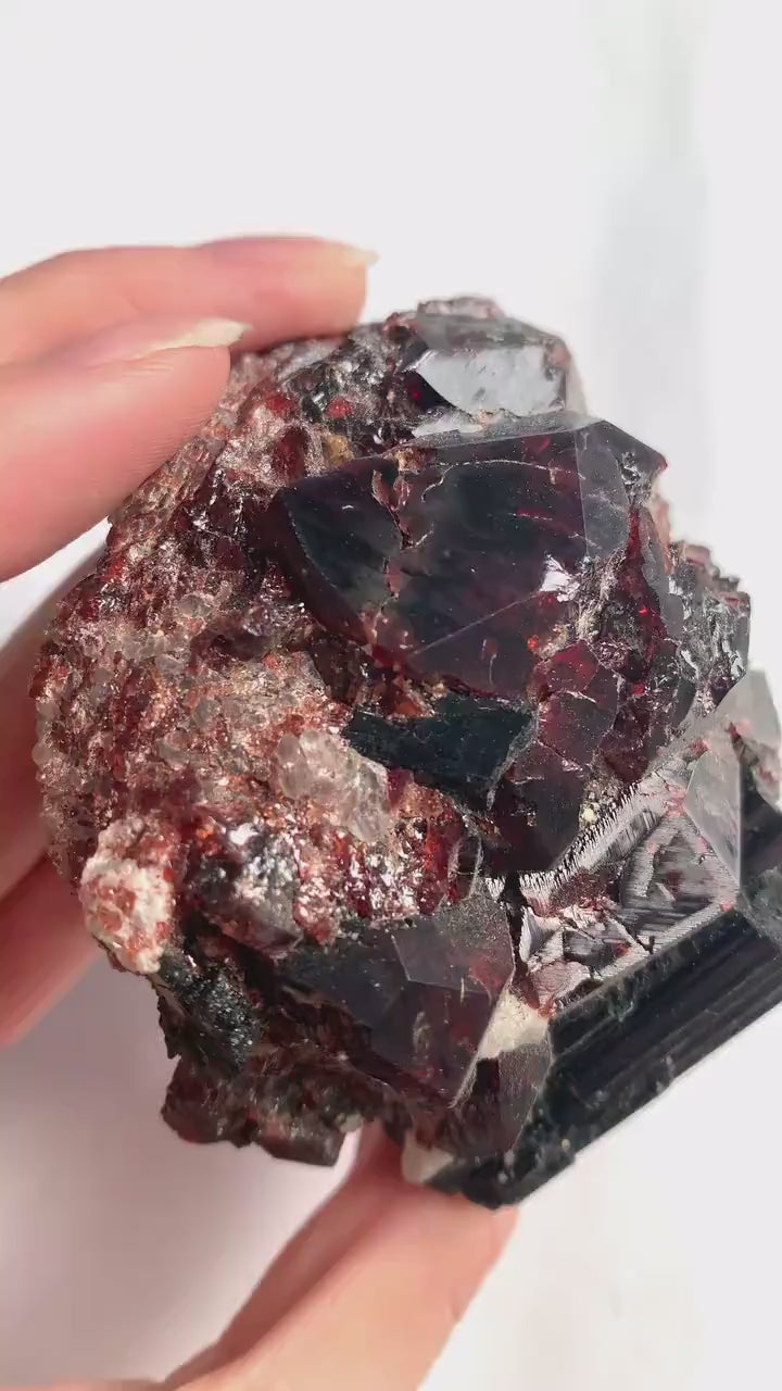 Garnet Black Tourmaline Specimen – Pakistan Crystals on Matrix, Collector Mineral Display, GC5
