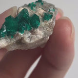 Crystal Dioptase Specimen – Rich Emerald Green Tsumeb Mine Mineral Cabinet Display, D5