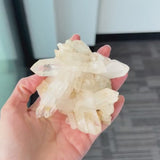 Himalayan Clear Quartz Cluster | High Altitude Cluster for Advanced Healers,  VKd2