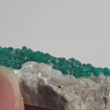 Dioptase Specimen – Dense Emerald Green Crystal Clusters on Matrix, Tsumeb Namibia Mineral, D2