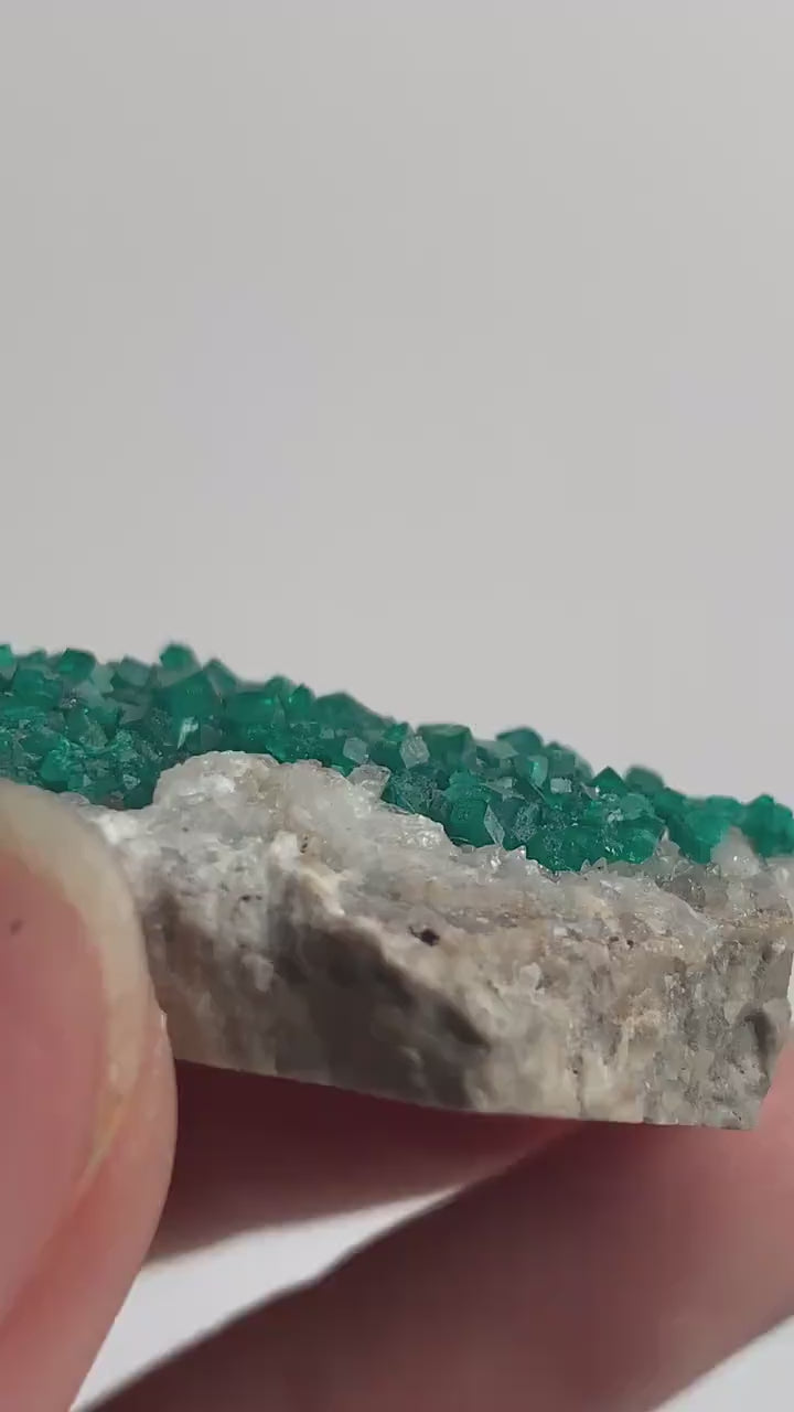 Dioptase Specimen – Dense Emerald Green Crystal Clusters on Matrix, Tsumeb Namibia Mineral, D2