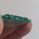 Dioptase Crystal Cluster Specimen – Emerald Green Tsumeb Matrix, Namibia Collector Mineral, D1