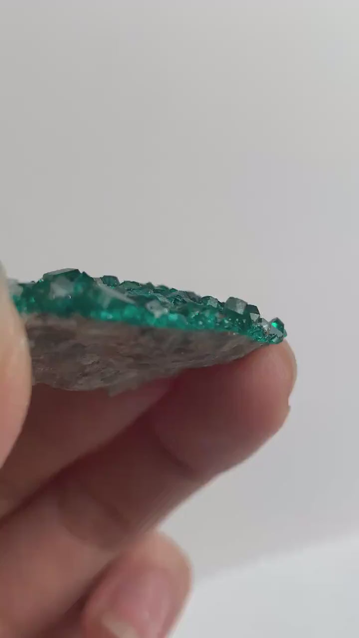 Dioptase Crystal Cluster Specimen – Emerald Green Tsumeb Matrix, Namibia Collector Mineral, D1