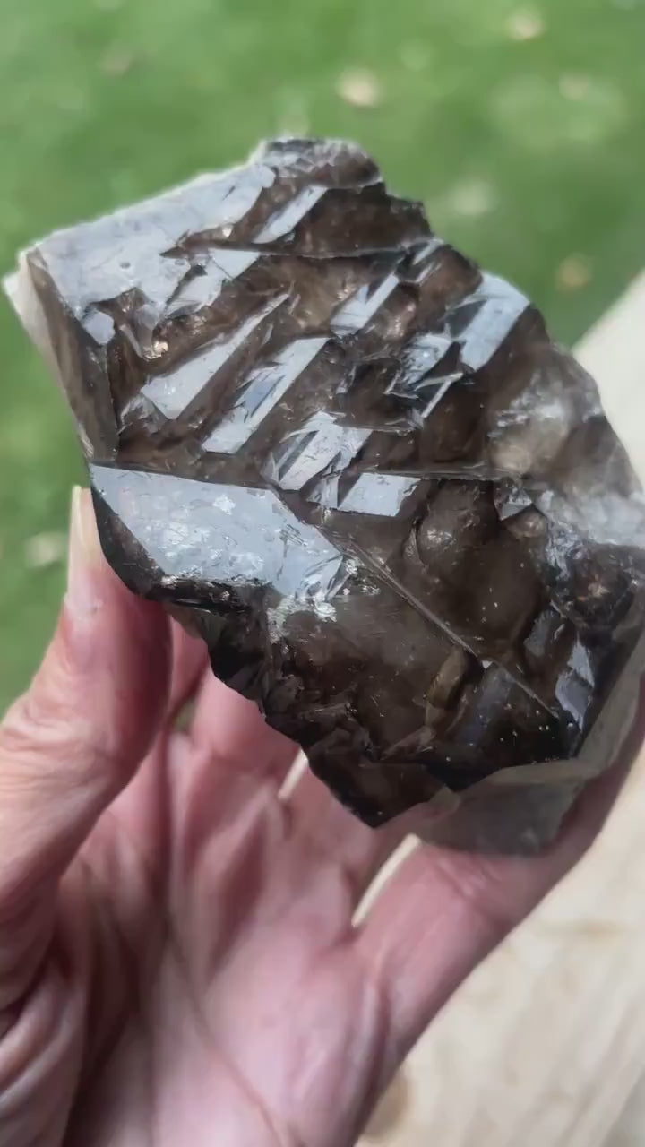 Gwindel Smoky Quartz Elestial Himalayan Crystal | Rare Collector Stone for Grounding, Healing & Home Decor