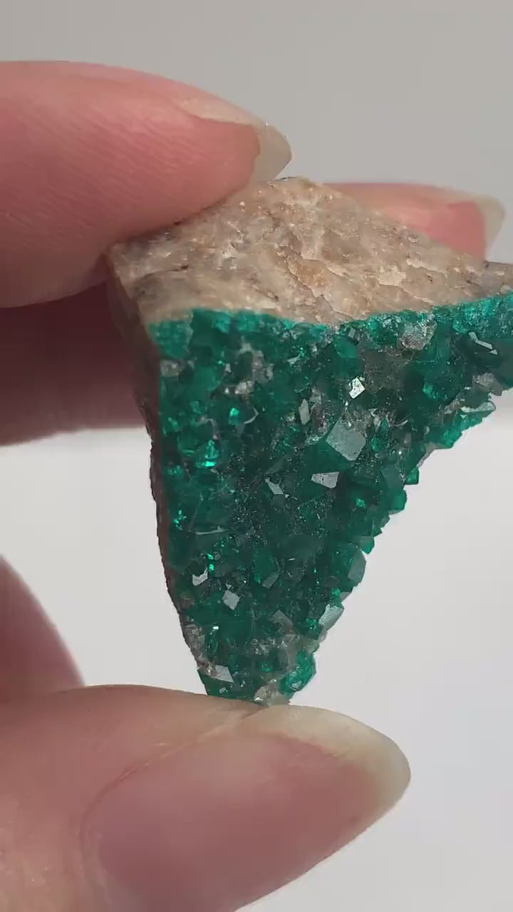 Tsumeb Dioptase Specimen – Emerald Green Crystal Face, Namibia Collector Mineral Display Piece, (D11)