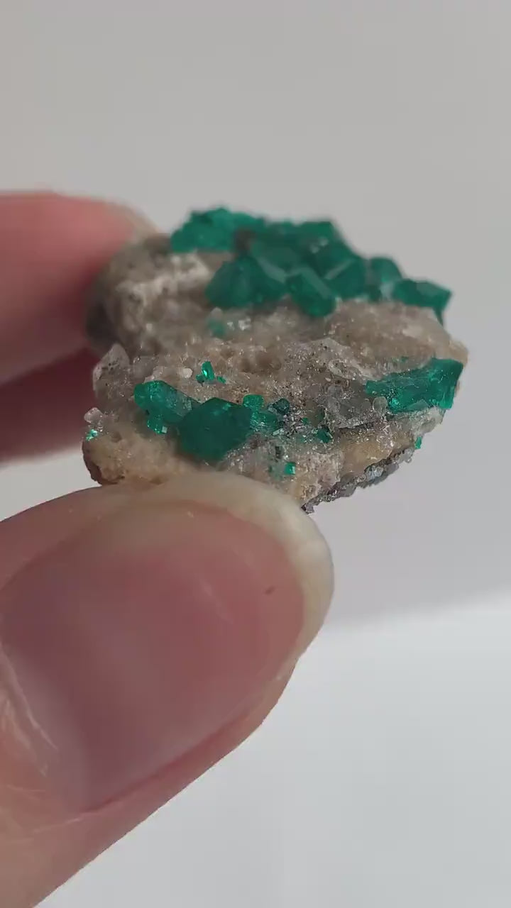 Dioptase Specimen – Emerald Crystals on Matrix, Tsumeb Namibia Collector Mineral, D3