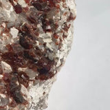 Garnet on Matrix Specimen – Pakistan Collector Mineral, Large Red Crystal Cluster Display, GC1