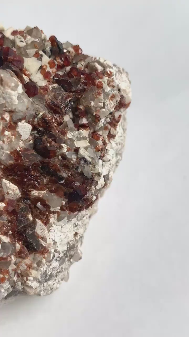 Garnet on Matrix Specimen – Pakistan Collector Mineral, Large Red Crystal Cluster Display, GC1