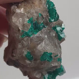 Large Dioptase Crystal on Matrix – Emerald Green Tsumeb Mine Specimen, Namibia Cabinet Display, D10