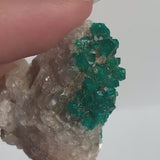 Dioptase Crystal Cluster – Tsumeb Mine Emerald Green Specimen (D14)