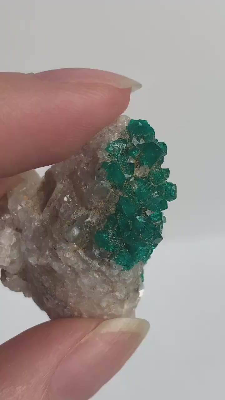 Dioptase Crystal Cluster – Tsumeb Mine Emerald Green Specimen (D14)