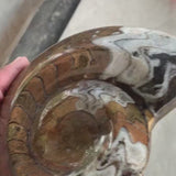 Devonian Goniatite Fossil | Authentic Morocco Cephalopod Fossil for Collectors & Home Décor, G014
