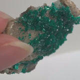Double-Sided Dioptase Specimen – Tsumeb Mine Namibia Emerald Green Crystal Matrix Collector Mineral Display, D7