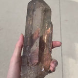 Large Himalayan Smoky Quartz Crystal, Gem Grade Display Piece, 8.5 Inch Clear Specimen, CQ1
