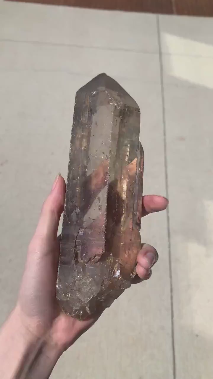 Large Himalayan Smoky Quartz Crystal, Gem Grade Display Piece, 8.5 Inch Clear Specimen, CQ1