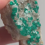 Scattered Dioptase Crystals – Tsumeb Mine Emerald Green Specimen on Matrix, D12