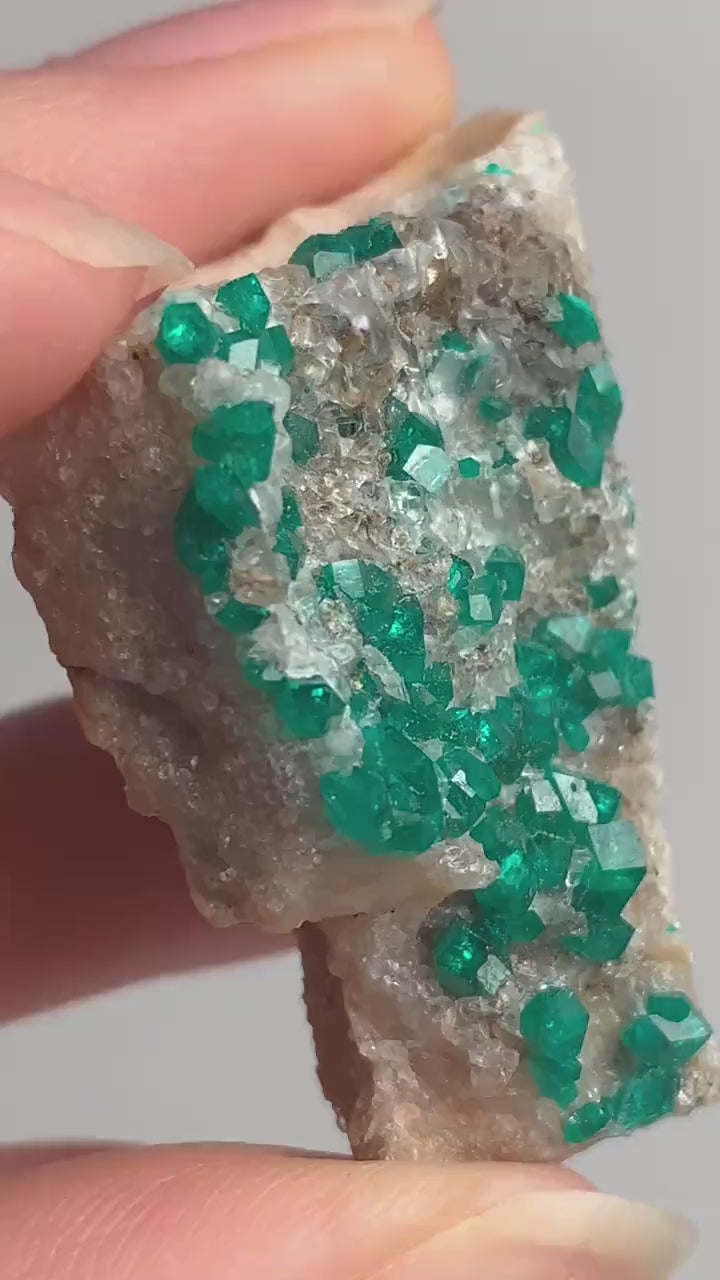 Scattered Dioptase Crystals – Tsumeb Mine Emerald Green Specimen on Matrix, D12