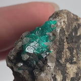 Tsumeb Dioptase Specimen – Emerald Green Crystal on Matrix, Namibia Collector Mineral Display, D9