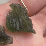 Raw Moldavite Crystal Authentic Czech Republic Natural Specimen