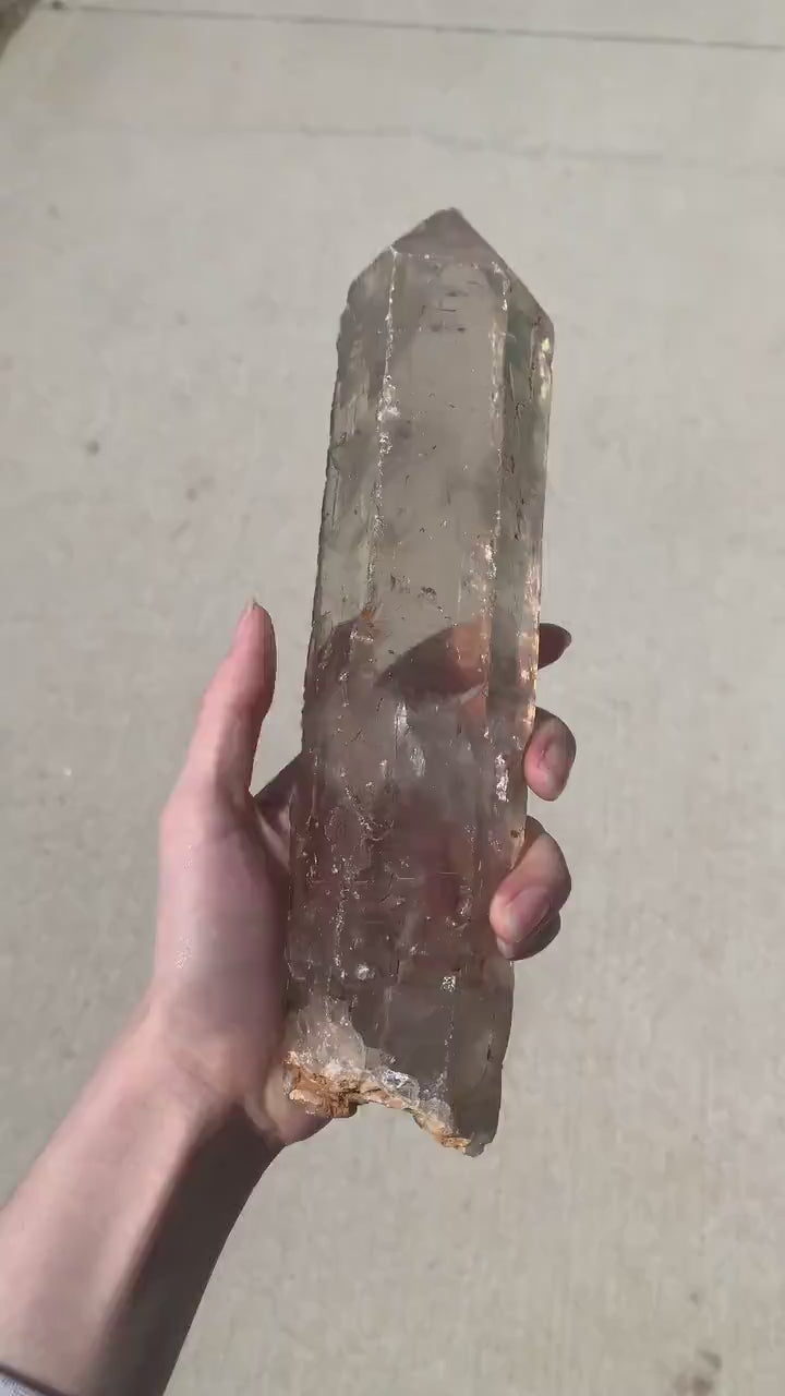 Himalayan Smoky Quartz Crystal: Large Natural Terminated Collector Specimen Décor, CQ3