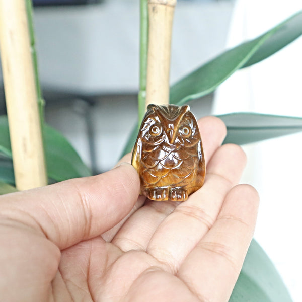 Tiger Eye Owl, Solar Plexus Chakra Crystal, Metaphysical Gift TIger Eye Crystal Carving Owl for Home Decor