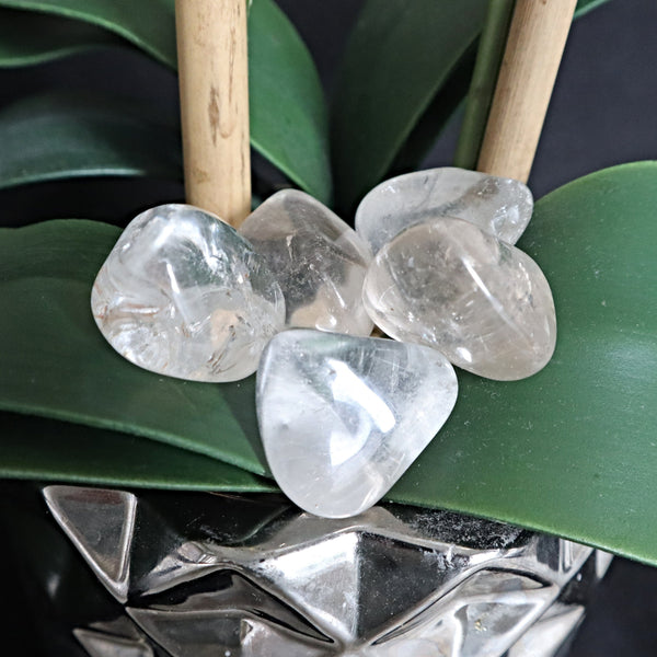 Himalayan Quartz Palm Stone, Large 1.2 inches long, 1 inches thick, High Vibration Wealth Crystal, Chakra Palm Stone
