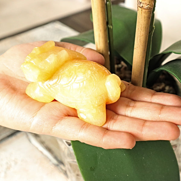 Genbu Dragon Turtle Feng Shui for Wealth Longevity Success Crystal Home Decor, Orange Calcite Stone Genbu Shijin Longgui Dragon Tortoise
