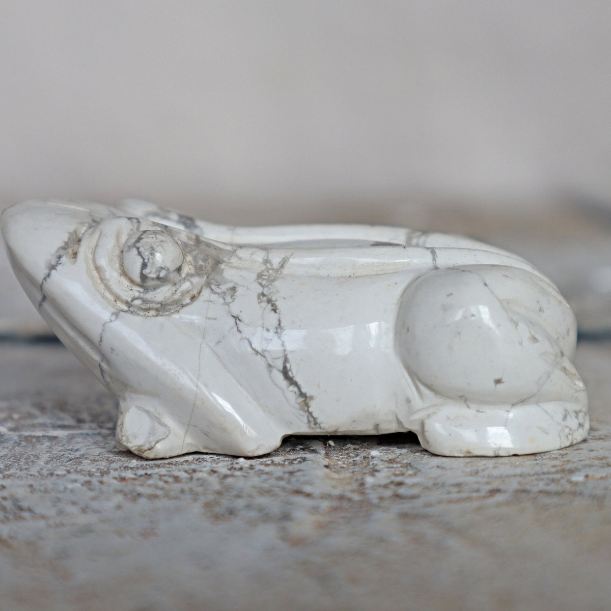 White Howlite Frog Green Crystal Frog for Wealth Abundance Lucky Stone