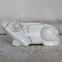 White Howlite Frog Green Crystal Frog for Wealth Abundance Lucky Stone