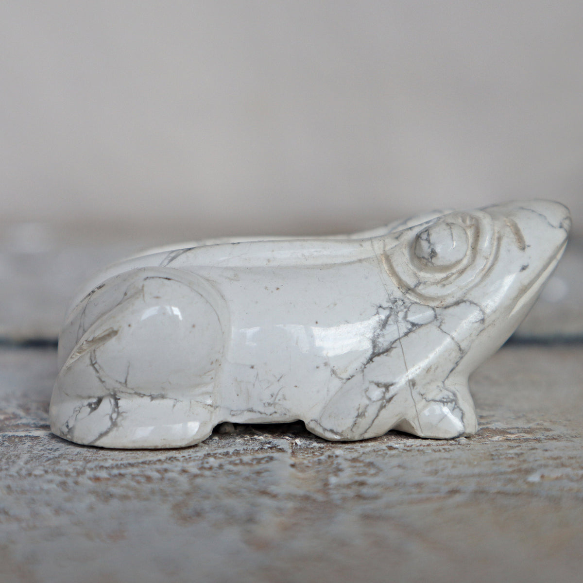 White Howlite Frog Green Crystal Frog for Wealth Abundance Lucky Stone